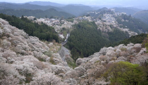 吉野町ってどんな町？歴史や観光スポットを紹介！