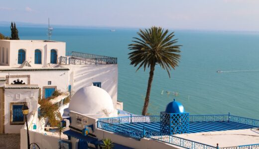 チュニジアってどんな国？歴史・経済・観光スポットを紹介します！